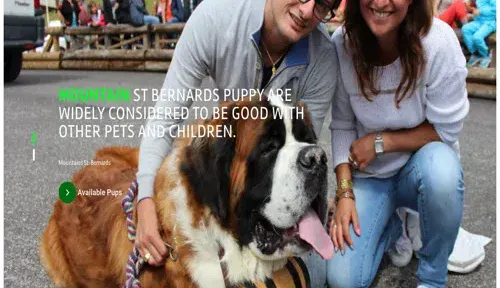 A screenshot of Genlanfamilystbernard.com
