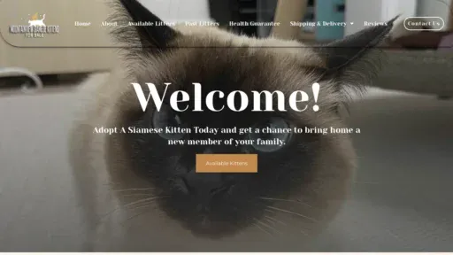 A screenshot of Mountainviewsiamesekittensforsale.com
