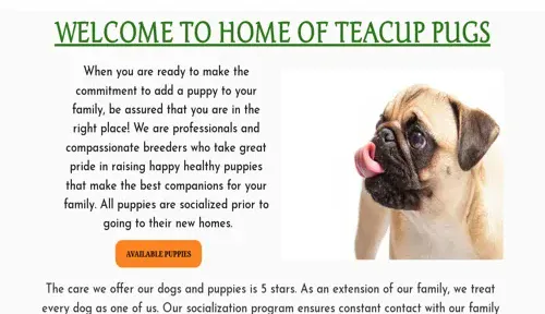 A screenshot of Genlanfamilystbernard.com