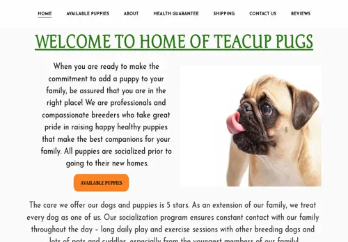 is mousavipugpuppies.com legit? screenshot
