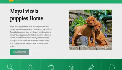 A screenshot of Genlanfamilystbernard.com