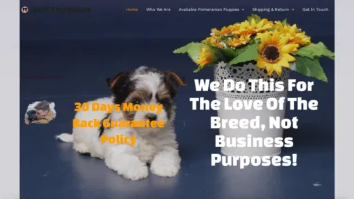 A screenshot of Msytoyhome.com