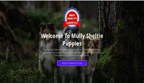 A screenshot of Genlanfamilystbernard.com