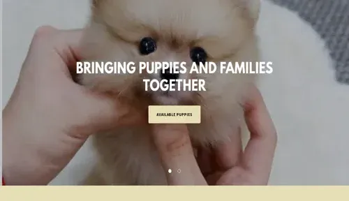 A screenshot of Genlanfamilystbernard.com