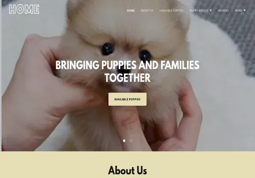 is multibreedkennel.co.za legit? screenshot