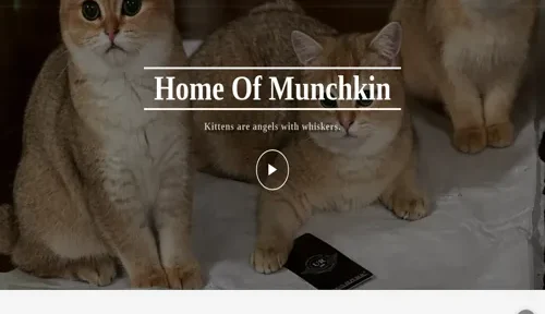 A screenshot of Genlanfamilystbernard.com