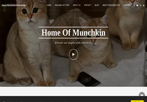 is munchkinforsalenearme.com legit? screenshot