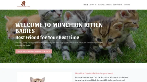 A screenshot of Munchkinkittenbabies.com