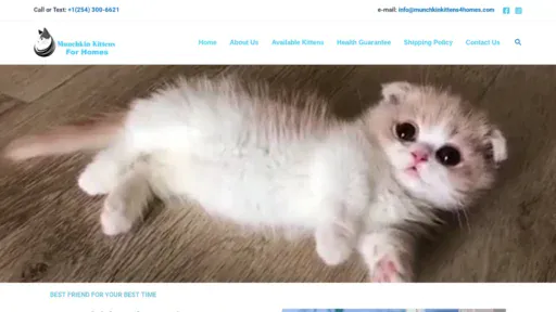 A screenshot of Munchkinkittens4homes.com