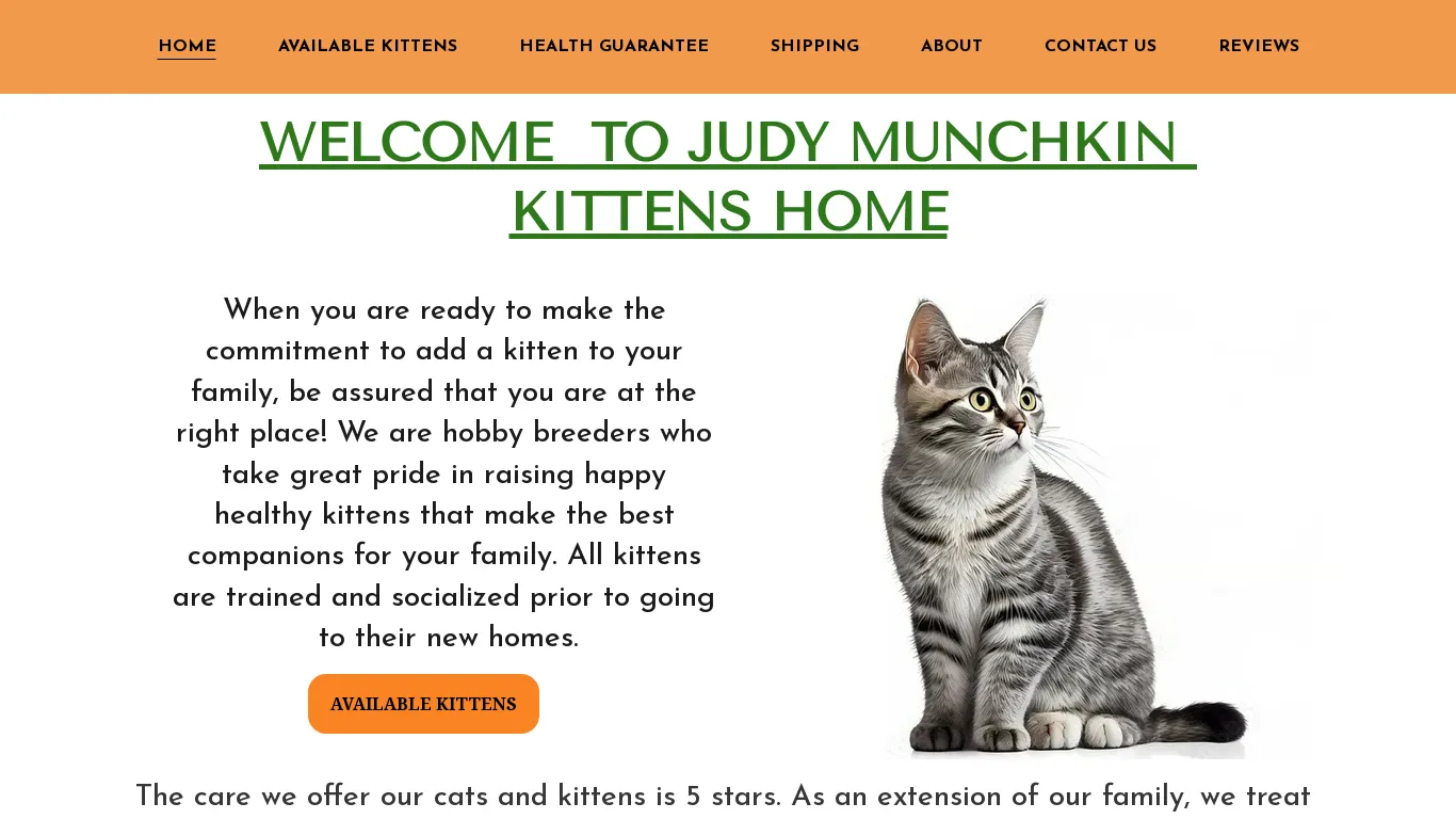 is munchkinkittensj.com legit? screenshot