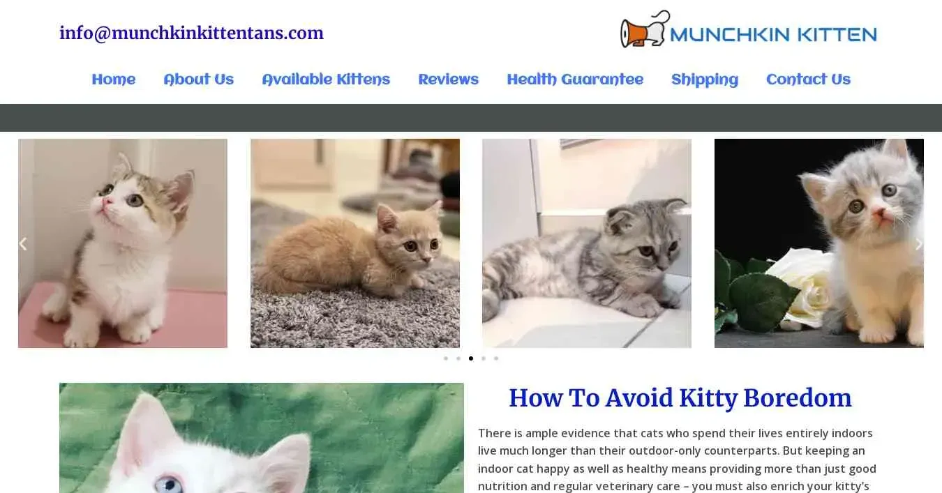 is munchkinkittentans.com legit? screenshot