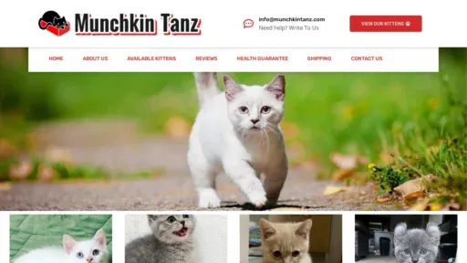 A screenshot of Munchkintanz.com