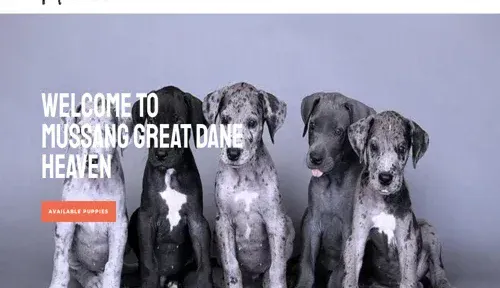 A screenshot of Genlanfamilystbernard.com