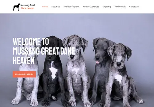 is mussanggreatdaneheaven.com legit? screenshot