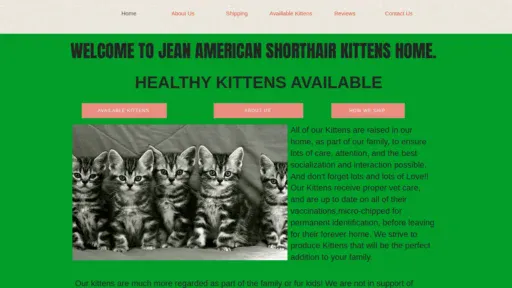 A screenshot of Myamericanshorthairkittens.com