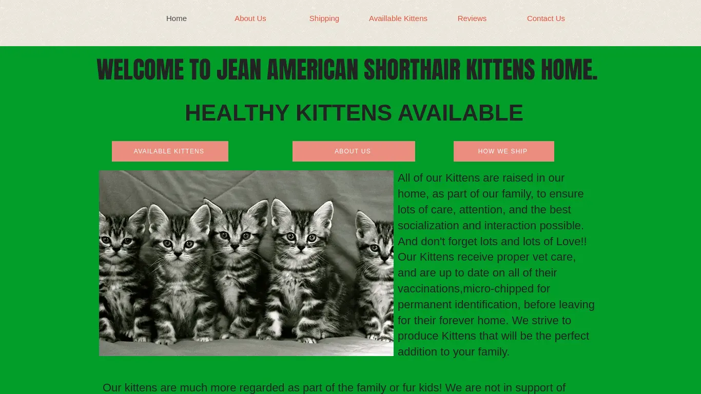 is Home | American Shorthair legit? screenshot