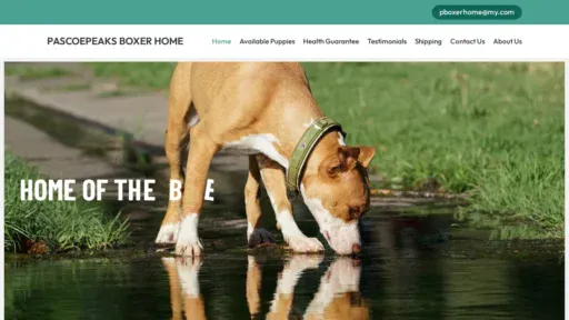 A screenshot of Myboxerpuppies.com