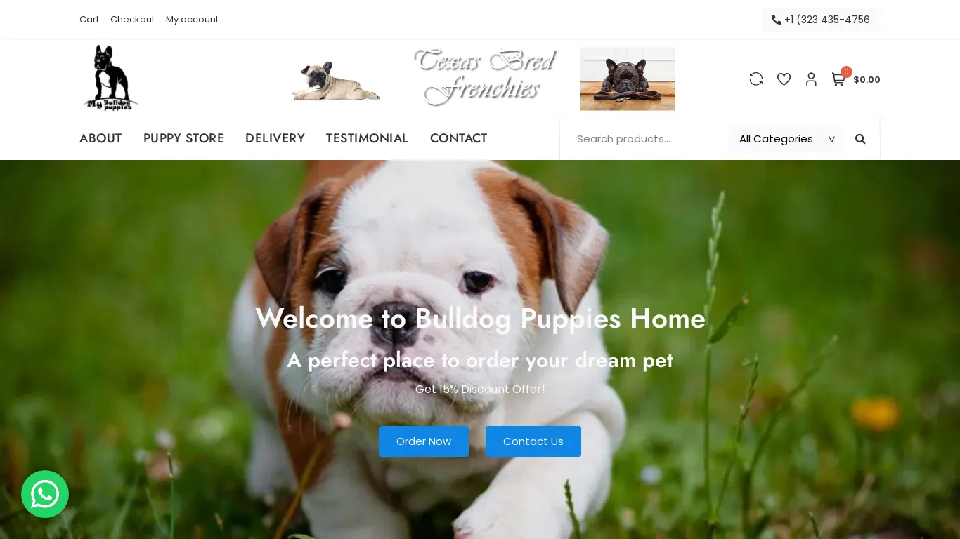 is mybulldogpuppies.com legit? screenshot