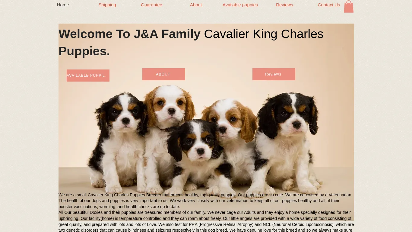 is Home | Cavalier puppies legit? screenshot