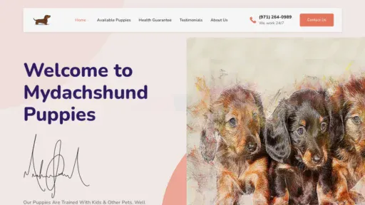 A screenshot of Mydachshundpuppies.com