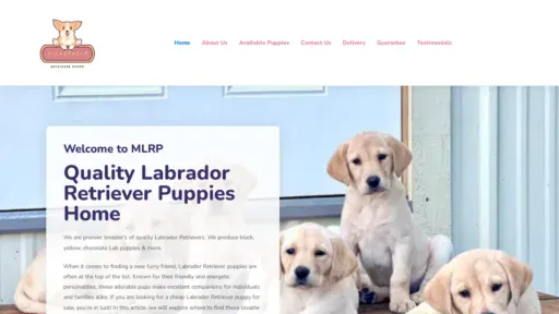 A screenshot of Mylabradorretrieverpups.com