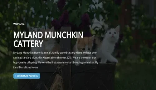 A screenshot of Genlanfamilystbernard.com