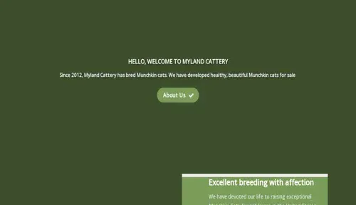 A screenshot of Genlanfamilystbernard.com