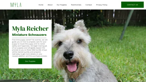A screenshot of Mylareichersminiatureschnauzers.com