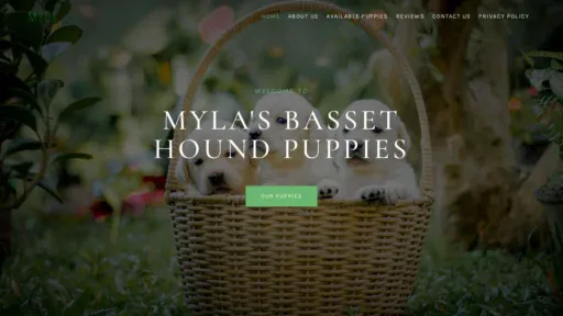 A screenshot of Mylasbassethoundpuppies.com