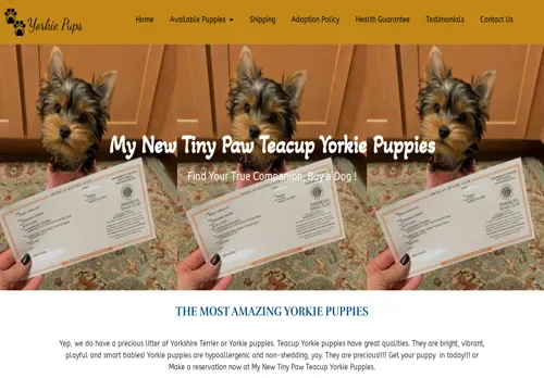 is mynewtinypawteacupyorkiepuppies.com legit? screenshot