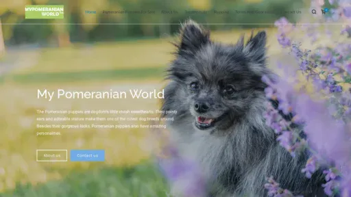 A screenshot of Mypomeranianworld.com