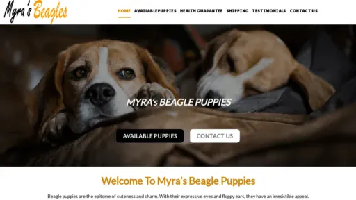 A screenshot of Myrasbeaglepuppies.com