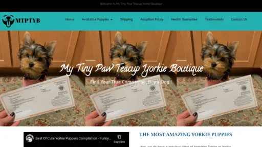 A screenshot of Mytinypawteacupyorkieboutique.com