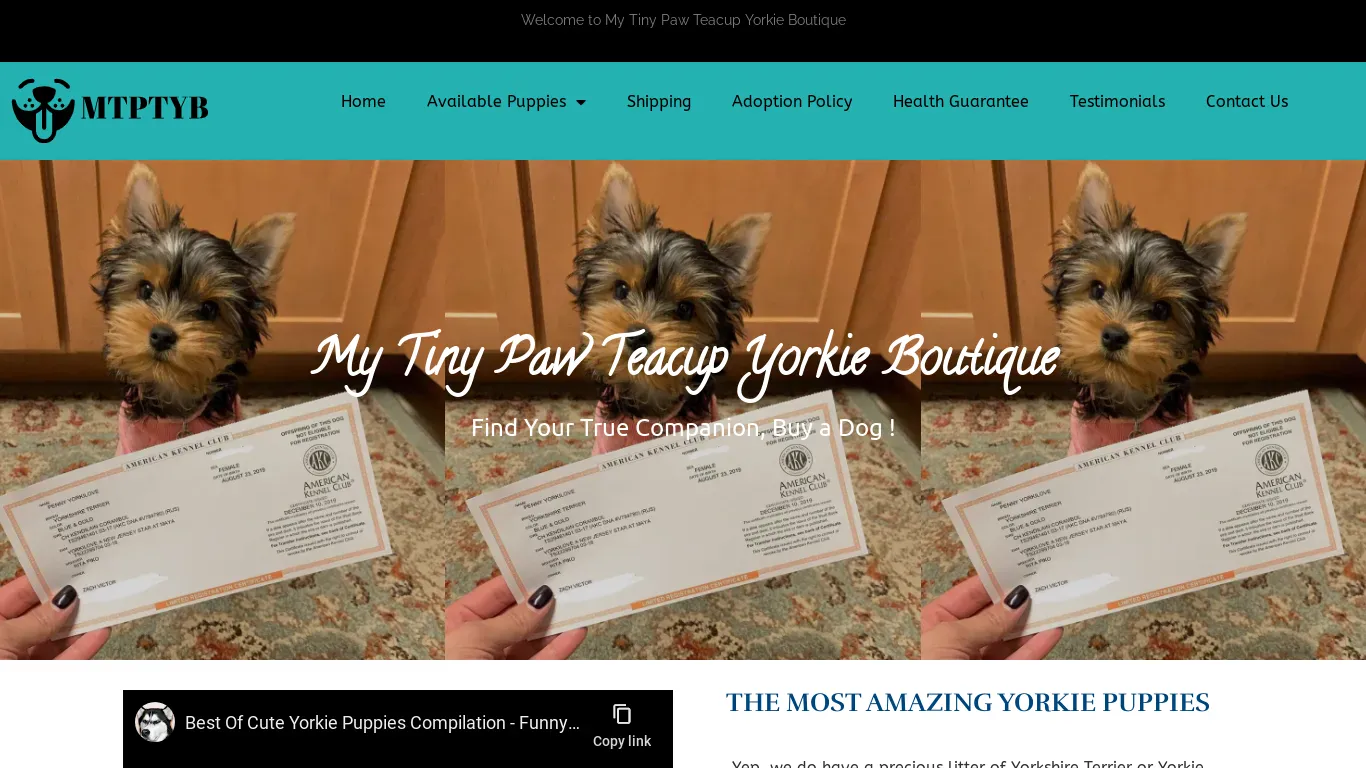 is mytinypawteacupyorkieboutique.com legit? screenshot