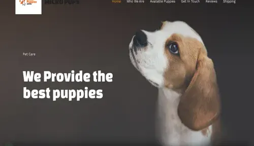 A screenshot of Genlanfamilystbernard.com