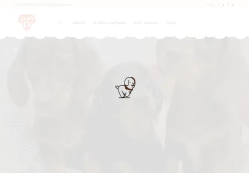 is nachodachshundpuppies.com legit? screenshot