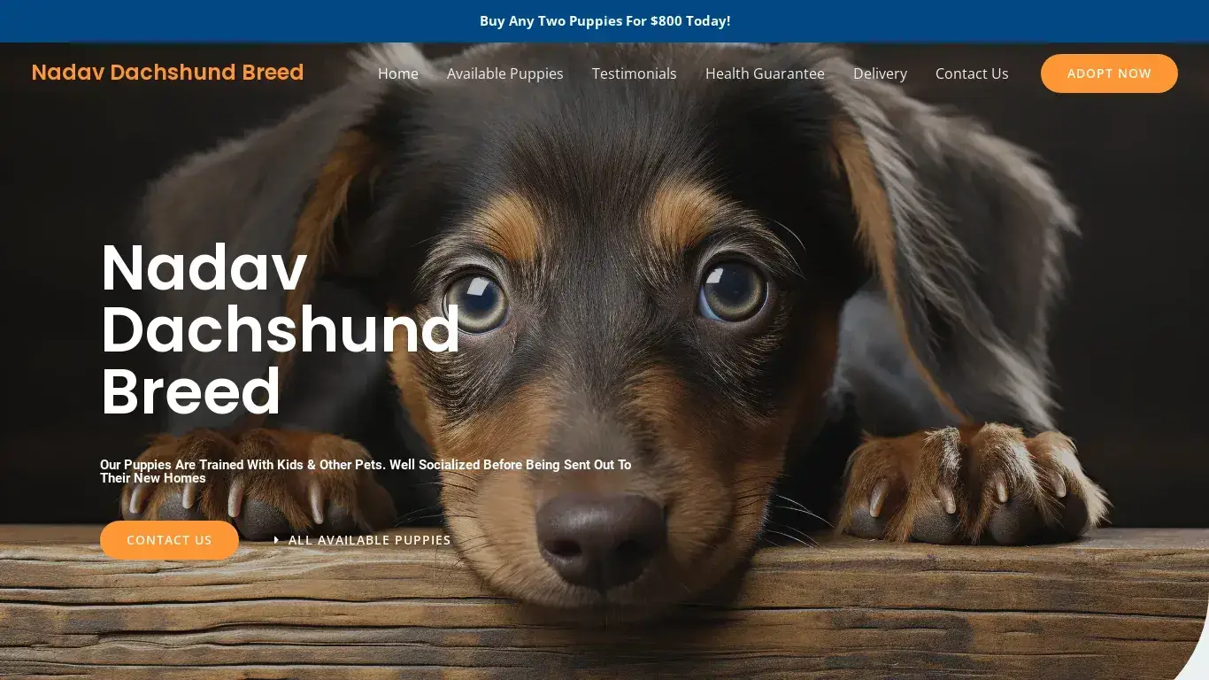 is Nadav Dachshund Breed – Purebred Dachshund Puppies For Sale legit? screenshot