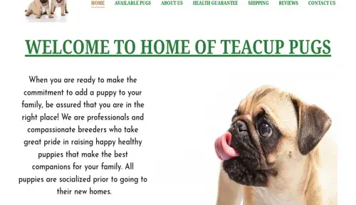 A screenshot of Genlanfamilystbernard.com