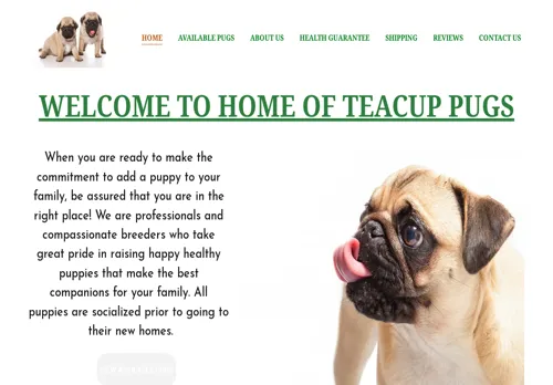 is nahnaspugpuppies.com legit? screenshot