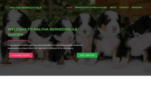 A screenshot of Genlanfamilystbernard.com