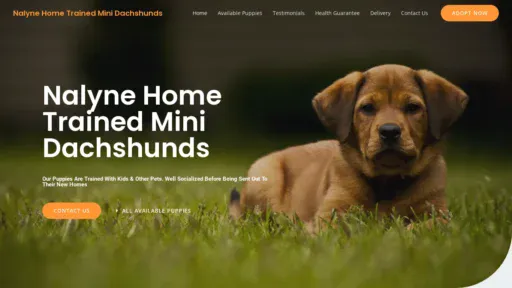 A screenshot of Nalynedachshunds.com