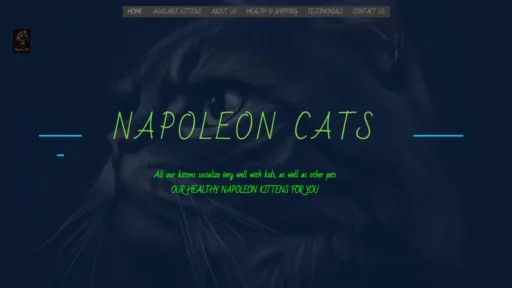A screenshot of Napoleoncats.com