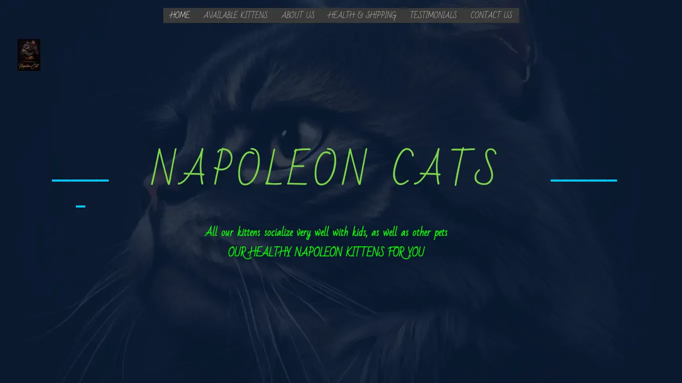 is Home - Napoleon Cat Kittens Cattery legit? screenshot