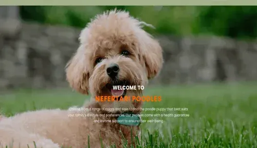 A screenshot of Genlanfamilystbernard.com