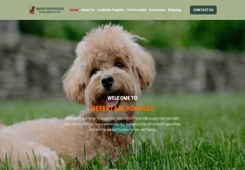 is nefertaripoodles.com legit? screenshot