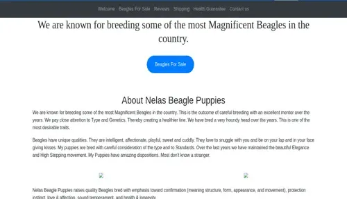 A screenshot of Genlanfamilystbernard.com