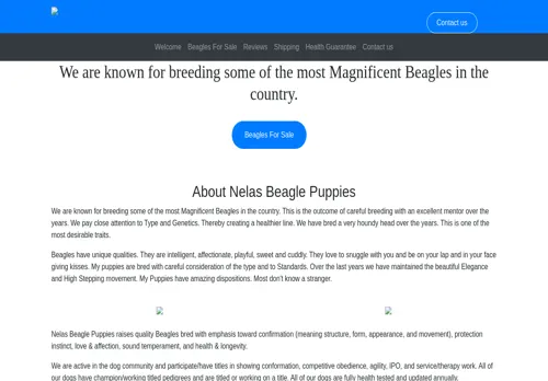 is nelasbeaglepuppies.com legit? screenshot