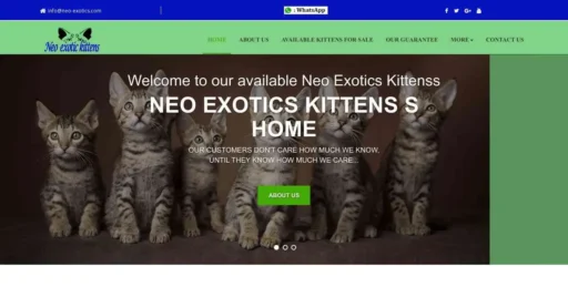 A screenshot of Genlanfamilystbernard.com