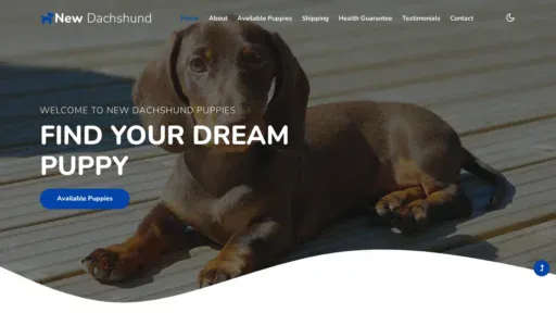 A screenshot of Newdachshundpuppies.com