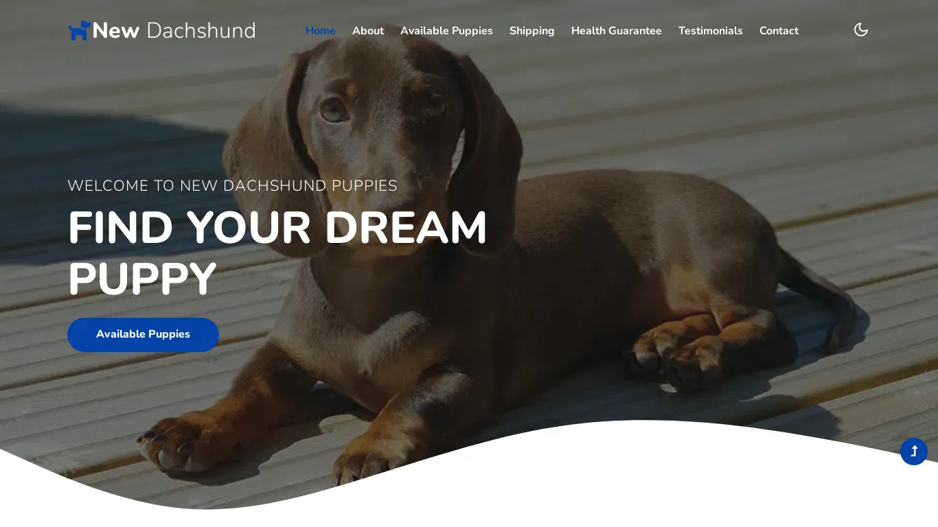 is newdachshundpuppies.com legit? screenshot